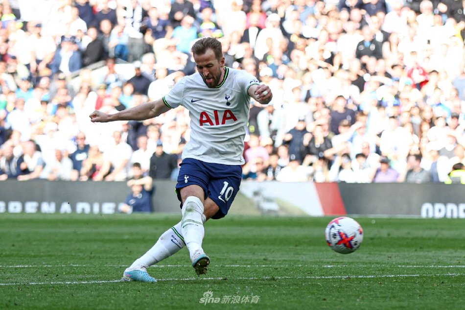 的多元化体 的多元化体