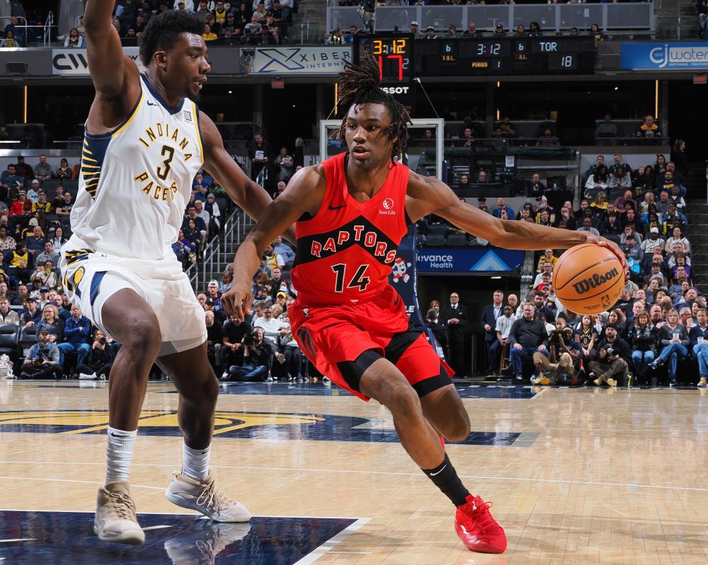 无论是培养 无论是培养